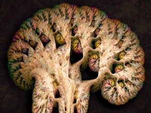 fractal brain